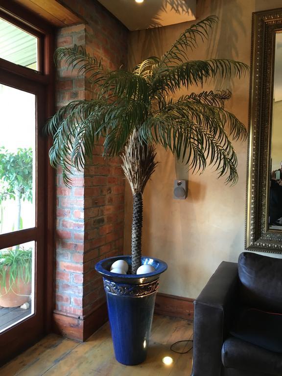 Gordons Guesthouse Cidade Do Cabo Exterior foto